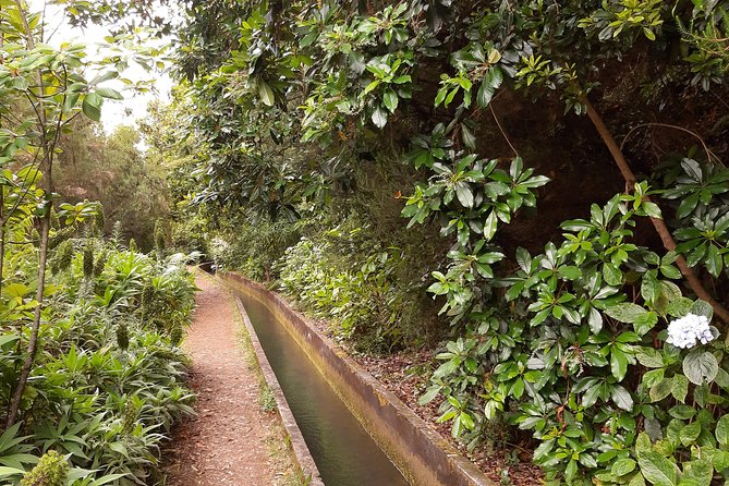 Private Guided Walk Levada Faja dos Rodrigues half-day - Tunnels and Footing: How to Prepare Like a Pro