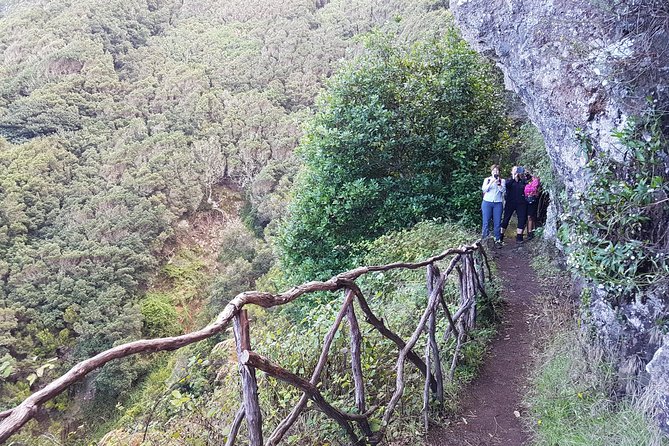 Private Guided Walk Vereda do Larano - The guide and onboard commentary: how you get more from the route