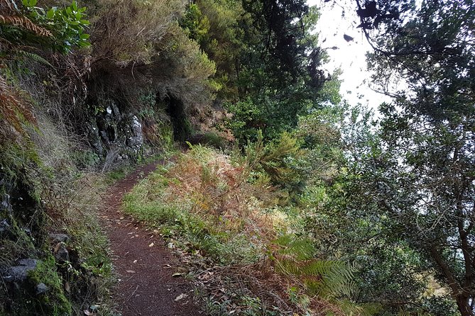 Private Guided Walk Vereda do Larano - What’s included (and what you should mentally budget)