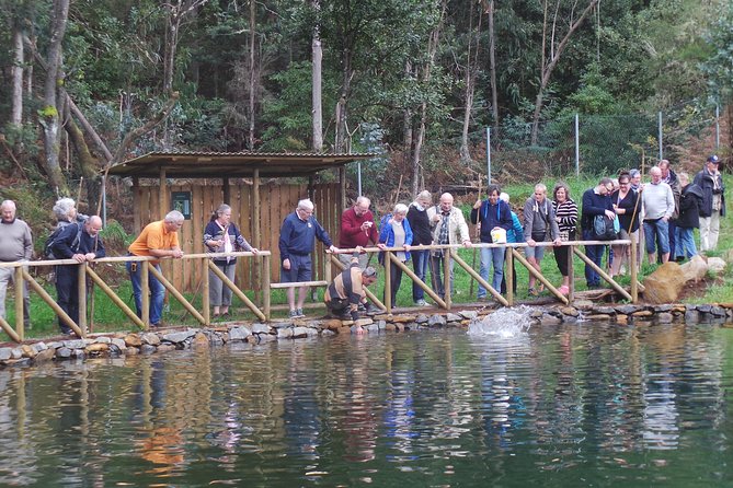 Private Half-Day 4X4 Experience: East or West - Porto Moniz natural swimming pools: volcanic pause and extra ticket