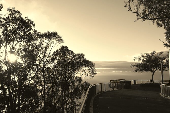 Private Half-Day Morning 4x4 Tour from Funchal - Boca da Corrida: high views over Curral das Freiras