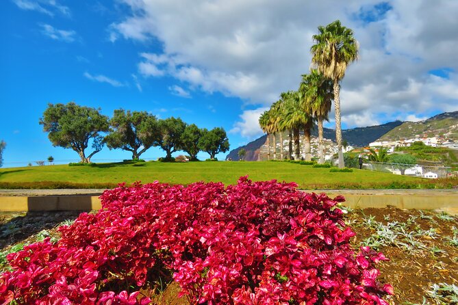 Private Half-Day Morning 4x4 Tour from Funchal - Pickup, vehicle, and what to wear in Madeira
