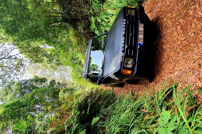 Private Half Day Off Road Tour in Madeira - Private 4x4 in Funchal, with pickup that actually saves time