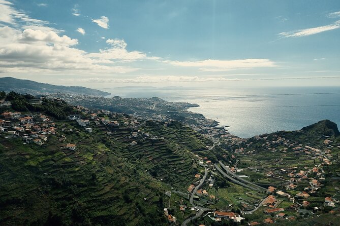 Private Half day tour (8 seat Mercedes Vito) - Stop 4: Camara de Lobos bay, fishing village time, and poncha options