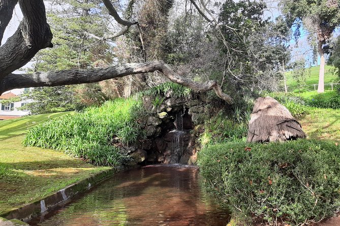Private Halfday Flower Palheiro Gardens Tour - Palheiro Gardens entrance included, and why that’s more than a perk