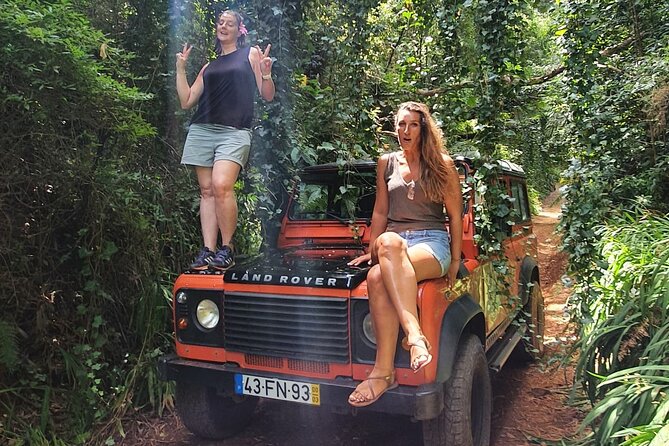 Private Jeep Tour: Amazing West Full-Day Tour incl Natural Pools - Ponta do Sol and Cascata dos Anjos: Sunshine and a Waterfall With Ocean Views