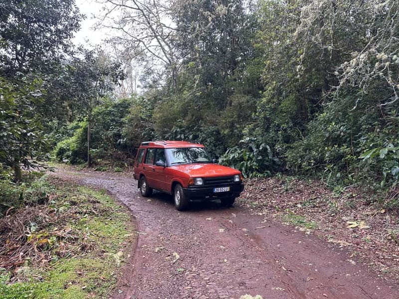 Private Madeira Nature Jeep Tour: Interior and North Coast - Pico do Areeiro and the cloud-top start