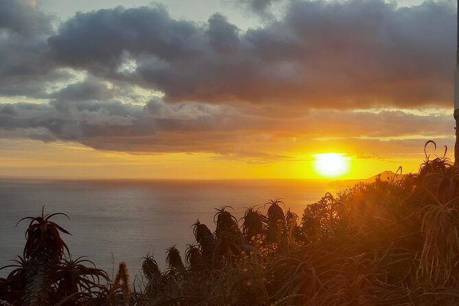 Private Madeira Sunset Cristo Rei Tour - Should you book this Private Madeira Sunset Cristo Rei Tour?