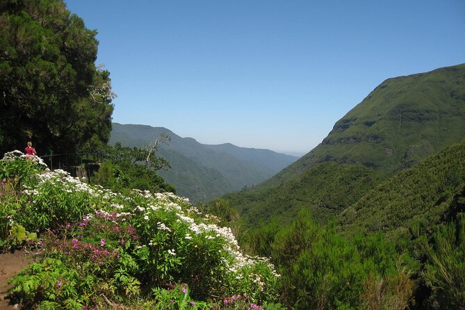 Private Madeira tour 8 people - The 150 km limit: why this matters more than you think