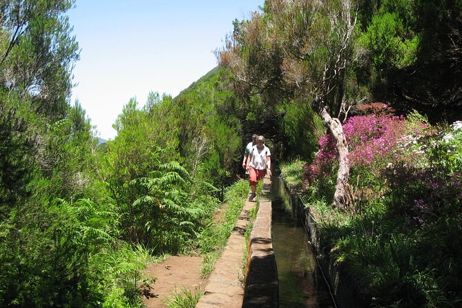 Private Madeira tour 8 people - Flexibility is the secret ingredient on Madeira