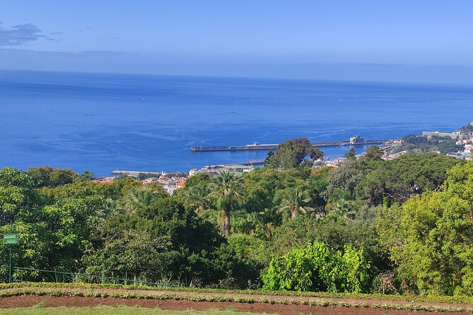Private Sidecar Tour – Downtown Funchal for 1 or 2 People - Market-to-Viewpoint Flow: Why the Timing Works