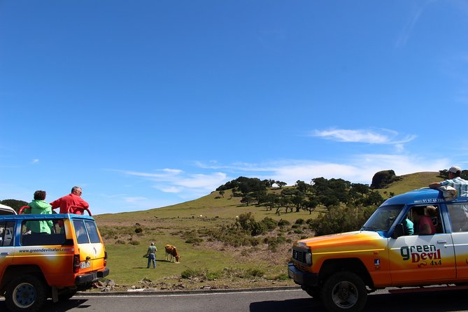 Private Small Group Full Day 4x4 Tour in Northwest Madeira - Sao Vicente and the Ginjas area: a taste stop in the north