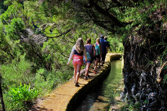 Private Small Group Full Day 4x4 Tour in Northwest Madeira - Ribeira da Janela’s Ilheus viewpoint: a quick look that sticks