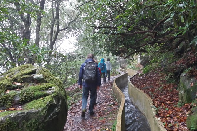 Private Sunrise Guided hike on Pico do Areeiro or other custom - Price and what you get for your money