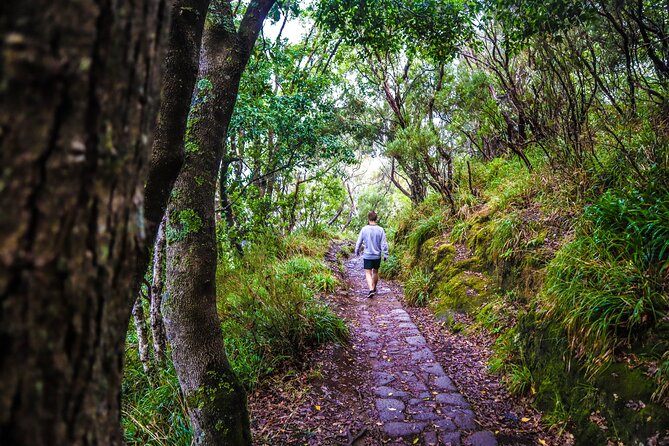 Private Sunrise Pico do Areeiro Half Day with easy levada walk - Quick tips to make your morning smoother
