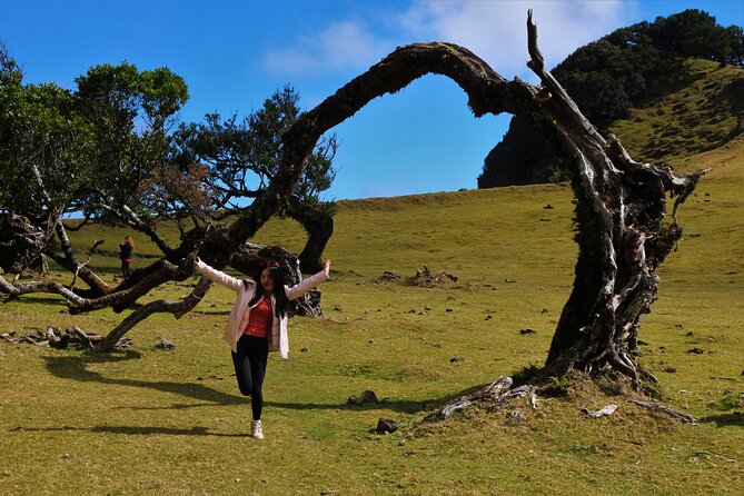 Private Tailored tour to the West in a 4WD. No shared groups! - Posto Florestal Fanal: One of the Day’s Signature Stops