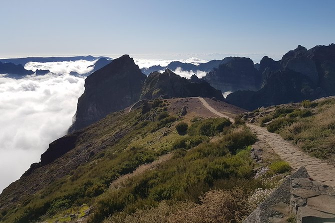 Private Tour East Madeira - Price and Logistics: What $216.04 Means for Up to Two