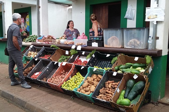 Private Tour Half-day Typical Market - The timing of a half-day plan that still feels relaxed