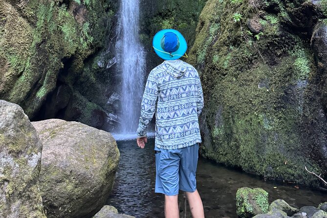 Private Waterfall Hiking in Madeira 4 Spectacular Waterfalls - Key highlights to expect