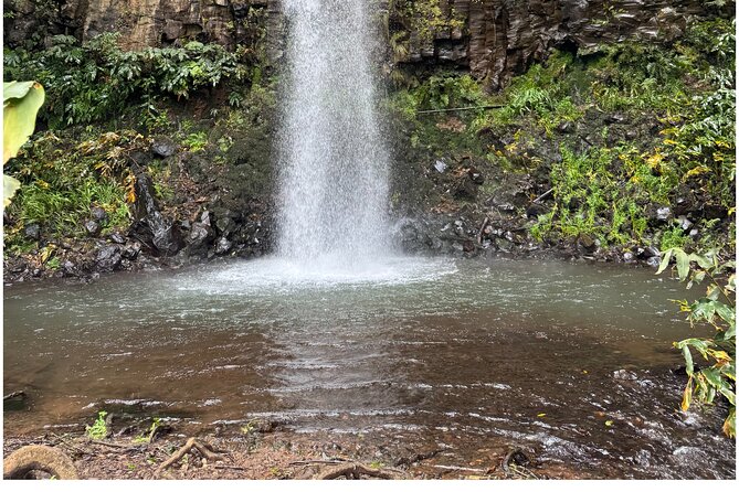 Private Waterfall Hiking in Madeira 4 Spectacular Waterfalls - Aguage Waterfall: a gentle start with lush views and easy momentum