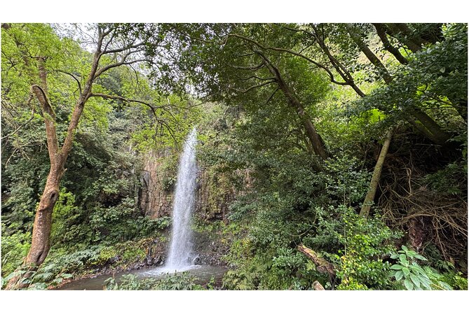 Private Waterfall Hiking in Madeira 4 Spectacular Waterfalls - Why the timing and pacing matter on a waterfall day