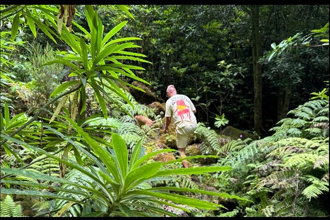 Private Waterfall Hiking in Madeira 4 Spectacular Waterfalls - Who this private waterfall hike suits best