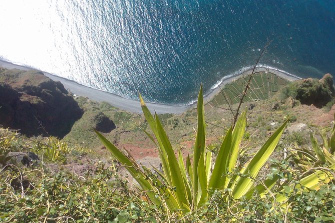 Private Waterfalls and Fanal Forest Tour - Price and Value: What $99.34 Buys on Madeira