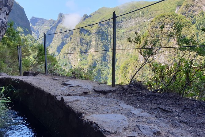 Queimadas-Caldeirão Verde - Why the Laurissilva forest hike feels more than just walking