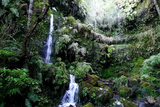 Queimadas-Caldeirão Verde - What the 13 km route does for your body and your attention span