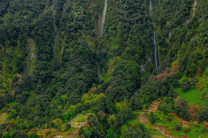 Rabaçal 25 Fontes and Risco Hike with Local Host - Who this hike suits best, and who should rethink it