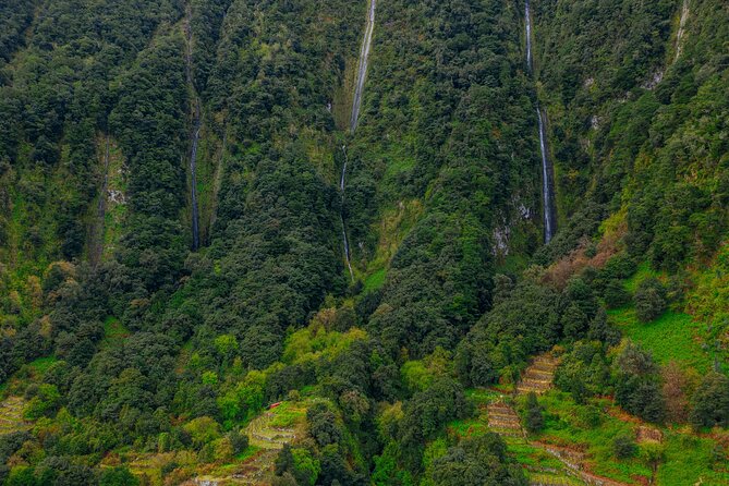 Rabaçal 25 Fontes and Risco Hike with Local Host - Weather planning and trail-day “don’t trip yourself up” tips