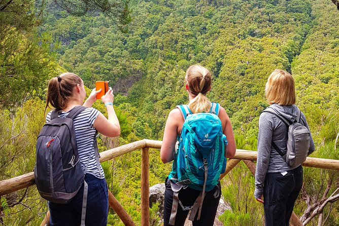 Rabaçal 25 Fontes Levada Walk in Small Groups - Key Highlights You Actually Feel on the Walk