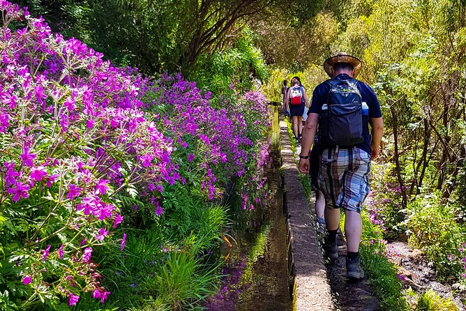 Rabaçal 25 Fontes Levada Walk in Small Groups - Price and Value at About $54.31 Per Person
