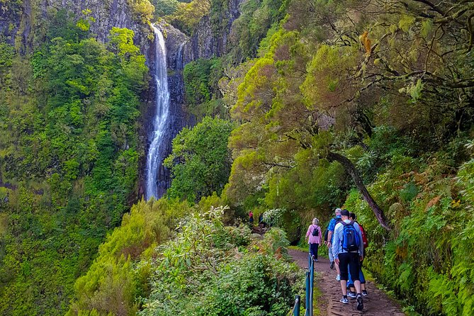 Rabaçal 25 Fontes Levada Walk in Small Groups - The Dark Tunnel Moment: Expect Damp, Plan for It