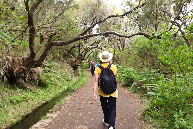 Rabaçal - 25 Fonts - Entering the Levada do Rabaçal, not just chasing waterfalls