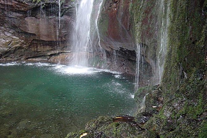 Rabacal - 25 Fountains - Your Small-Group Day: Guide Attention and Real-World Nature Watching