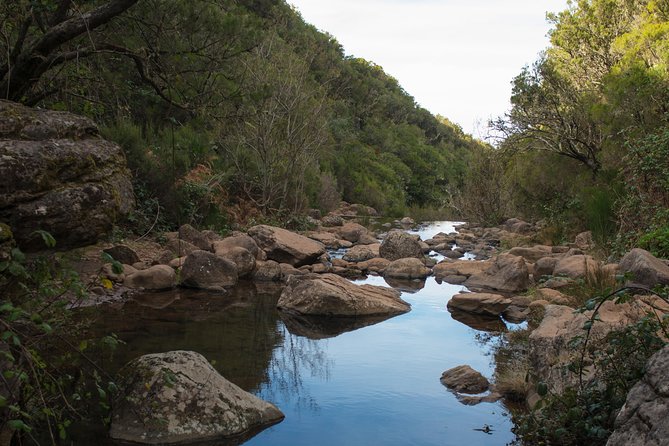 Rabaçal Hiking Tour - Rabacal and the UNESCO Laurel Forest, in real life