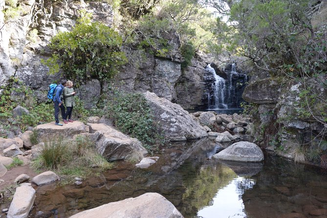 Rabaçal Hiking Tour - Levada das 25 Fontes: the route that brings you into Laurissilva