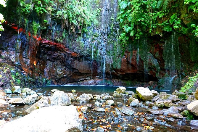 Rabaçal - Levada das 25 Fontes - Price reality: $55.60 plus the €4.50 Madeira trail tax and lunch plan