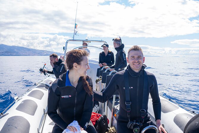 Responsible Whales and/or Dolphins Watching Tour - Comfort tips for a speedy ride you will feel