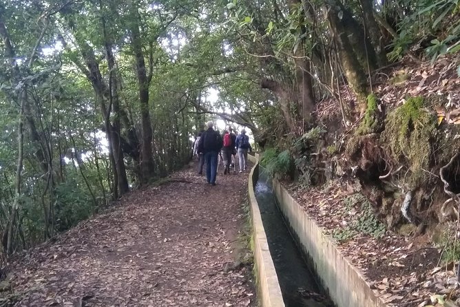 Ribeiro Frio / Portela - Levada vibes around Ribeira Frio and Portela