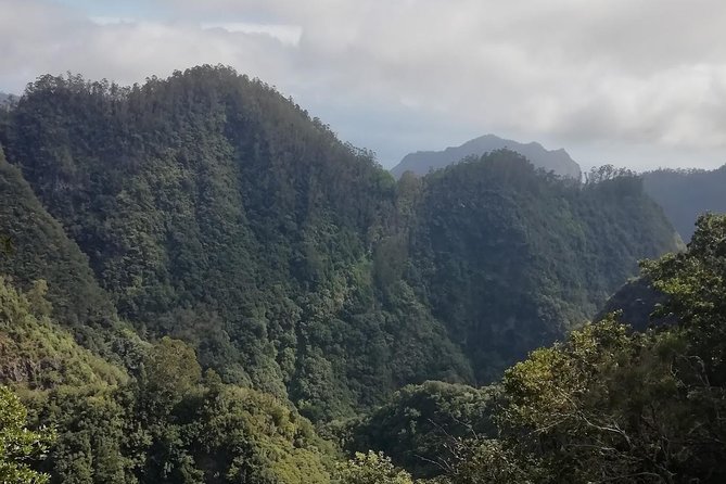 Ribeiro Frio / Portela - What the trail feels like, light, shadow, and a relaxed pace
