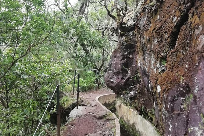 Ribeiro Frio / Portela - Small group size and English hosting that keeps things practical
