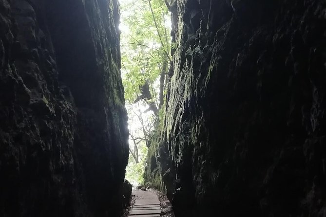 Ribeiro Frio / Portela - Who this tour suits best (and who should skip it)