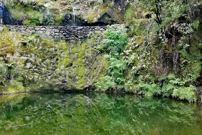 Ribeiro Frio / Portela - The Viveiros de Trutas segment, about 4 hours of walking