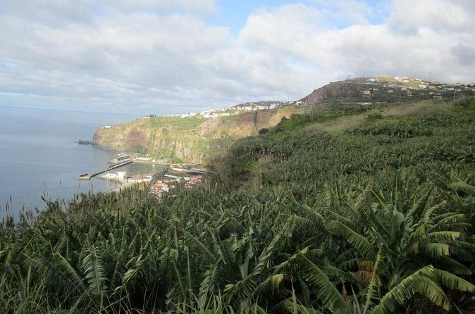 Rota do Açucar - Levada Nova (Half Day Walk) - What to pack for a smooth 4 hours (and why you should bring it all)