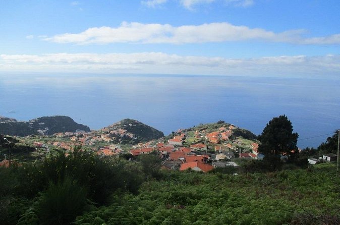 Rota do Açucar - Levada Nova (Half Day Walk) - Price and value: what $41.13 gets you, and what it does not