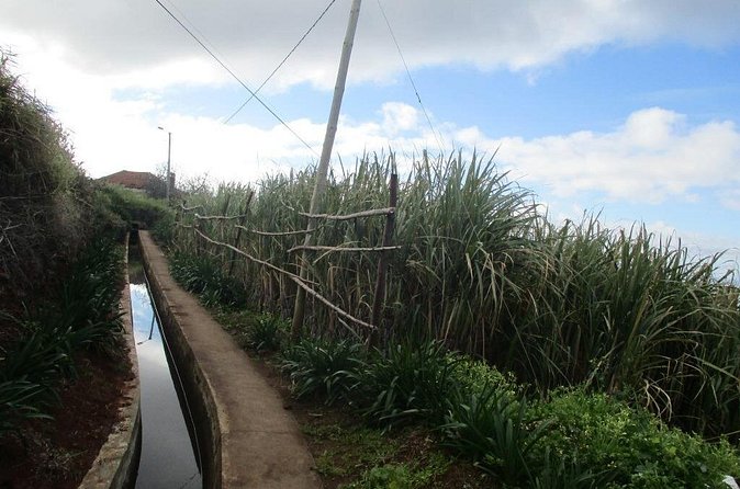 Rota do Açucar - Levada Nova (Half Day Walk) - FAQ