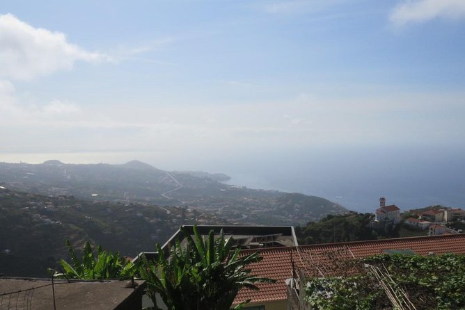 Rota do Vinho - Wine Route (Half Day Walk) - Rota do Vinho Basics: a half-day that stays easy
