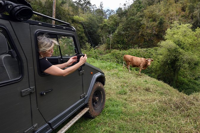 Safari 4x4 Pico Arieiro Santana in Small Group "FlowerEAST" - Off-road 4x4 transport: why it feels different